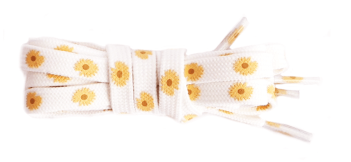 Lacets plats blancs pâquerettes jaunes