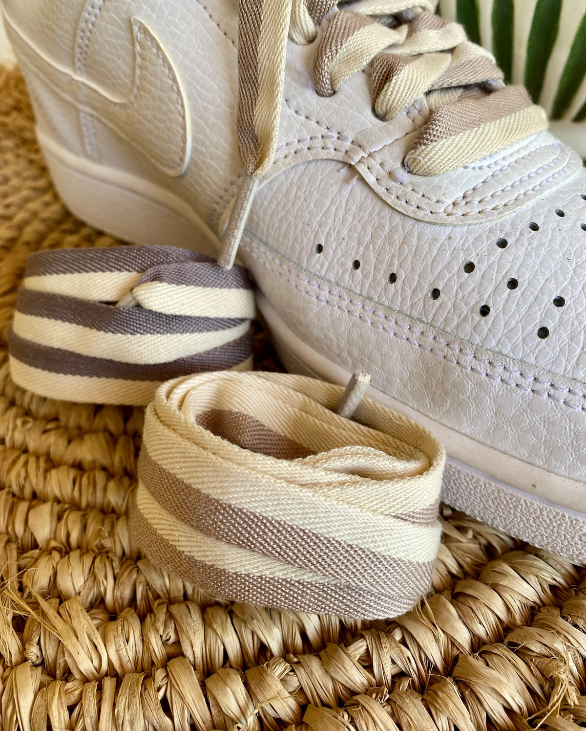 Lacets Sahara bicolores