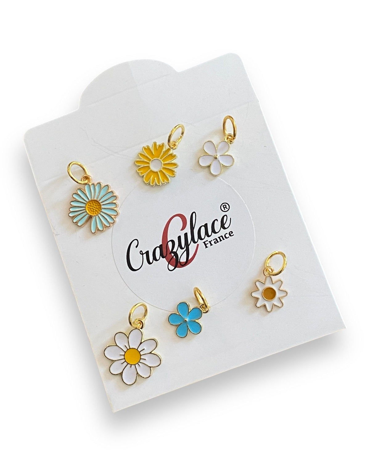 Pochette de 6 breloques Fleurs champêtre douces pour styliser vos lacets de Sneakers où Bracelets - A offrir !